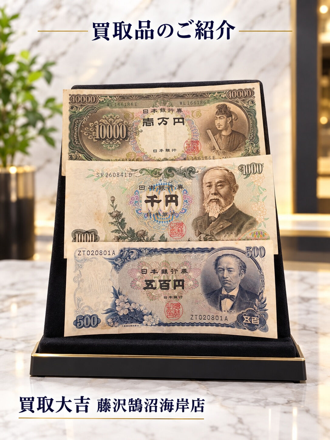 収集家のあなたに朗報📜